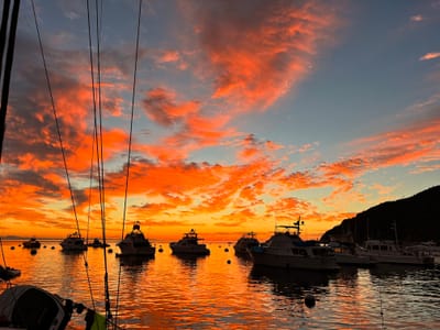 Catalina Island