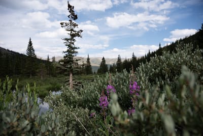 Blue Lakes
